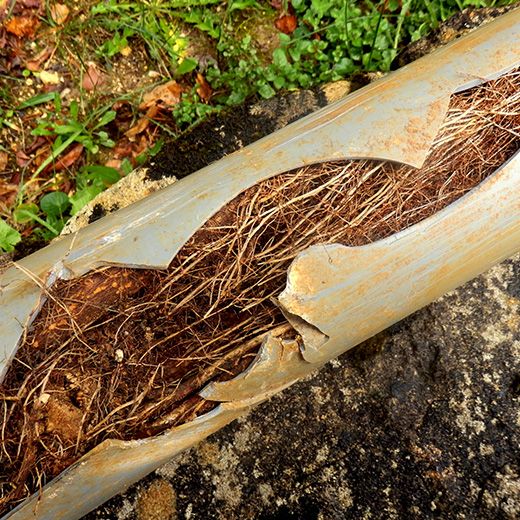 Same Day Drain Sewer & Rooter Pros Across Northfield